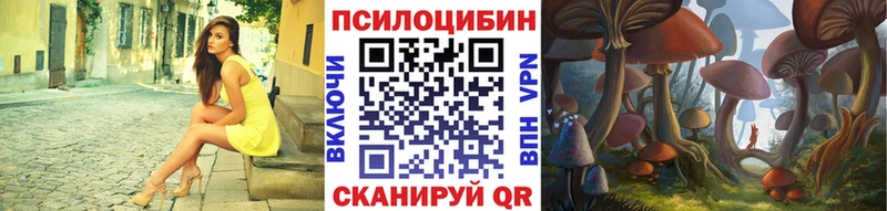 продажа наркотиков Нарткала OMG рабочий сайт Псилоцибиновые грибы Psilocybine cubensis